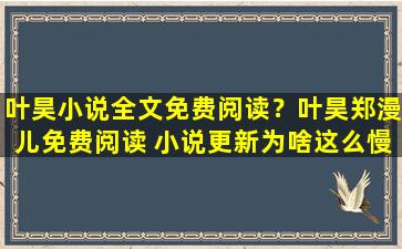 叶昊小说全文免费阅读？叶昊郑漫儿免费阅读 小说更新为啥这么慢